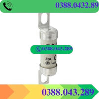 Cầu chì Eaton Bussmann loại T BS88 35FE / 40FE / 50FE / 80FE / 100FE 690V Chính Hãng