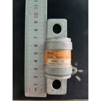 Cầu Chì Fuji CR6L 75A, 100A ,150A ,200A Hàng Bãi