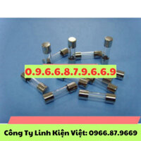 Cầu Chì Ống Thủy Tinh 1A 5*20 F1a/250V Nhập Khẩu Ul CSA