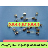 Cầu Chì Ống Thủy Tinh 1A 5*20 F1a/250V Nhập Khẩu Ul CSA