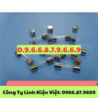 Cầu Chì Ống Thủy Tinh 3A 5*20 F3a/250V