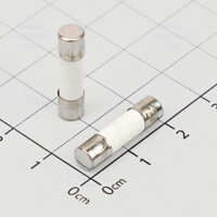Cầu Chì Sứ 2A 5x20mm