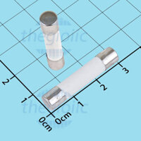 Cầu Chì Sứ 2A 6x30mm