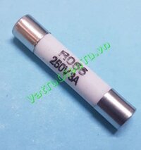 Cầu chì sứ 3A 250V 5x25MM RO55