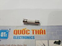 CẦU CHÌ SỨ 5A X 20MM