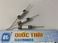 CẦU CHÌ SỨ 5X20MM 2A CÓ CHÂN CẮM