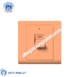 Cầu dao 2 cực có hiển thị đèn Honeywell R5216STT