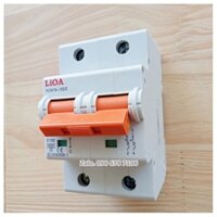 Cầu dao - Aptomat LiOA 2P 100A -  Dòng Cắt 6kA Chính hãng