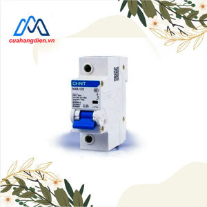 Cầu dao MCB Chint NXB-125 - 100A 10kA 1P