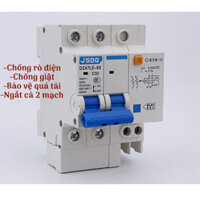 Cầu dao chống rò điện,chống giật 1Pha 220v 63A