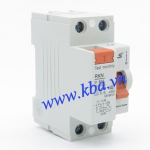 Cầu dao chống rò LS RKN 1P+N 25A