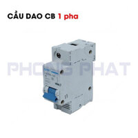 Cầu dao củ phát điện 1 Pha (220V)