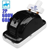 Cầu Dao Điện ĐẢO CHIỀU Cao Cấp 2 Pha 2P 60A 600V
