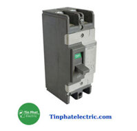 Cầu dao điện MCCB (APTOMAT) loại khối 2 Pha – ABN62c (LS)