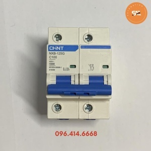 Cầu dao MCB Chint NXB-125 - 100A 10kA 2P