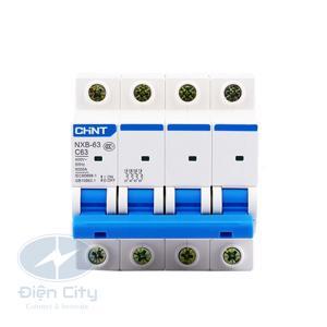Cầu dao MCB Chint NXB-63 - 50A 6KA 4P