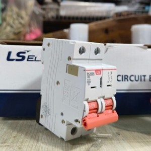 Cầu dao MCB LS BKH - 125A 10kA 2P