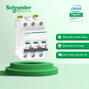 Cầu dao MCB Schneider A9F84316