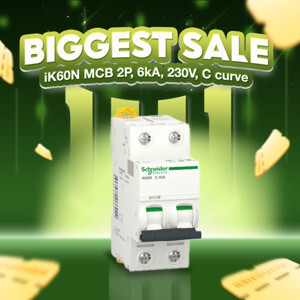 Cầu dao MCB Schneider A9K24250