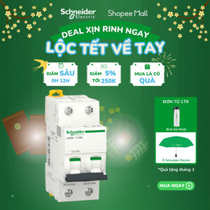Cầu dao MCB Schneider A9K24250