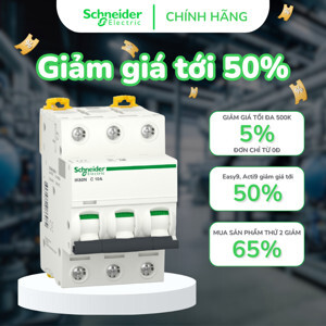 Cầu dao MCB Schneider A9K24363