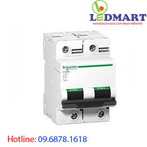 Cầu dao MCB Schneider A9N18361