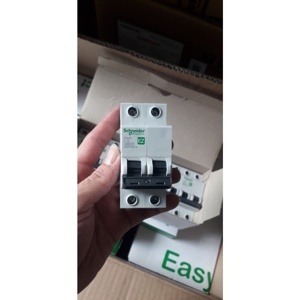 Cầu dao MCB Schneider EZ9F34216