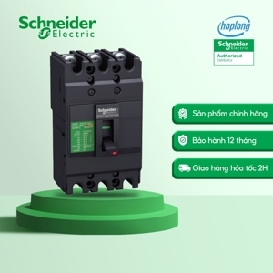 Cầu dao MCCB Schneider EZC100F3030