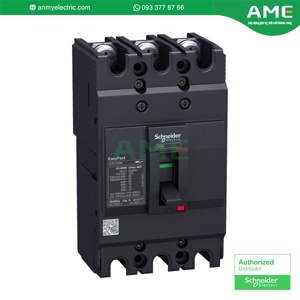Cầu dao MCCB Schneider EZC100N3060
