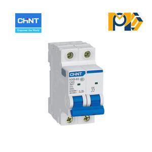 Cầu dao NXB-63 2P C63 6kA