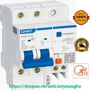 Cầu dao RCBO Chint NXBLE-32 2P 32A