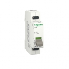 Cầu dao Schneider A9S60120