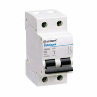 Cầu dao tép MCB 2P 40A 6kA Vanlock PS65S/C2040