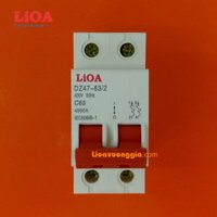 Cầu dao tự động (APTOMAT) LiOA 63A loại 2 cực - MCB2063-4.5