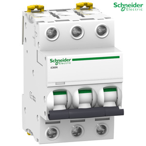 Cầu dao tự động Schneider A9F74406