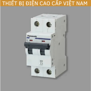 Cầu dao tự động Panasonic BBD2162CNV