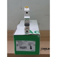 Cầu dao MCB-Schneider-A9K241(1P 50A, 63A 6kA)