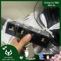 Cầu đấu 100A 4p domino bằng đồng kết nối điện 3 pha