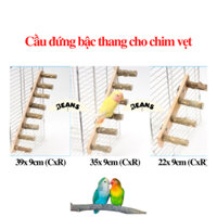 Cầu đứng gỗ mài móng bậc thang cho chim vẹt