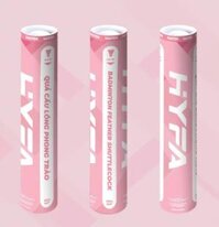 Cầu Hải Yến - N88 - hồng