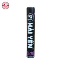 Cầu Hải Yến S70