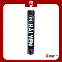 Cầu Hải Yến S70