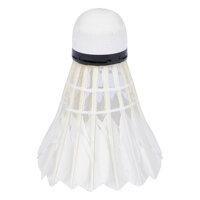 Cầu Lông Ống A Dài HT OAD