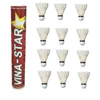 Cầu lông Vinastar đỏ 12 trái