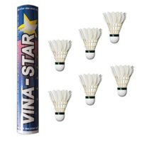 Cầu lông Vinastar xanh đặc biệt hộp 12 trái