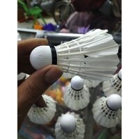 Cầu lông Win sport, ống 10 quả, đế gỗ bền bỉ