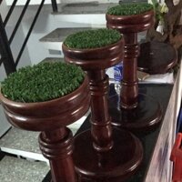 Cầu nấm cho chim cắt ( có tấm thép kèm theo)