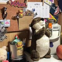 Cầu nguyện cho con rái cá nhắm mắt và chân thành cầu nguyện cho món quà thích hợp đồ chơi sang trọng rái cá