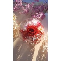 cầu thủy tinh hoa khô -đk 16cm