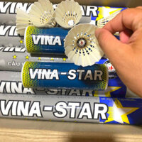 Cầu Vina star Bạc 𝗰𝗵𝗶́𝗻𝗵 𝗵𝗮̃𝗻𝗴 (1 ống 12 quả) . Cầu lông loại đặc biệt , thi đấu - [𝗛𝗔̉𝗜 𝗡𝗔𝗠 𝗦𝗣𝗢𝗥𝗧]